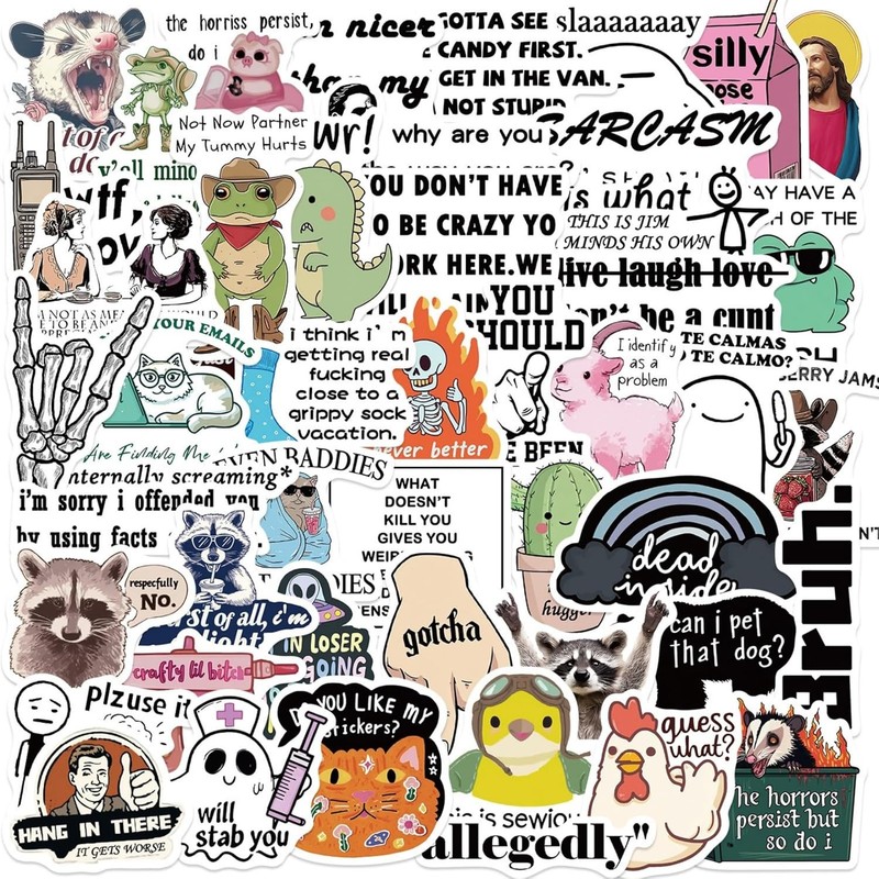 Adult Funny Meme Stickers Vinyl Stickers for Kids Teens Adults 50Pcs Set
