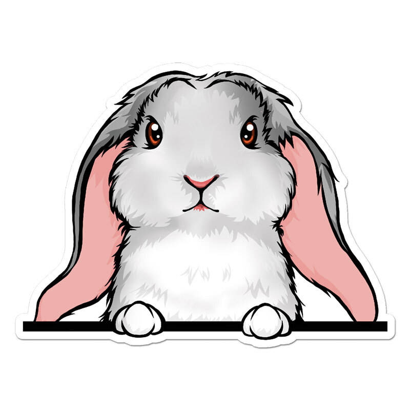 Peeking English Lop Rabbit, Vinyl Decal Sticker, Indoor Outdoor, 3 Sizes, #11635