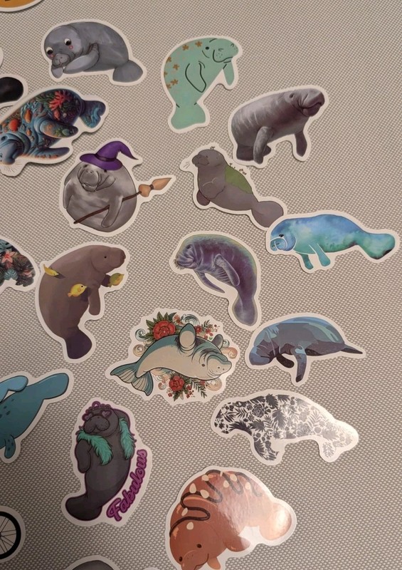 MYSTERY MIXED LOT OF 10 MANATEE GRAPHIC DECAL STICKER ART CAR WALL LAPTOP DECOR gallery