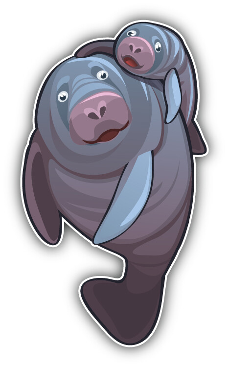 Manatee Family Car Bumper Sticker Decal