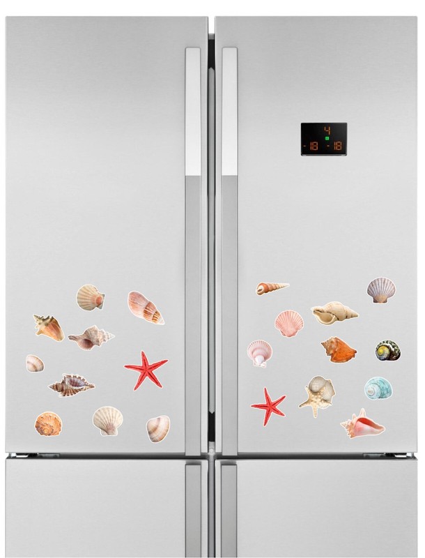Seashells Realistic detailed sticker Beach theme Paradise colorful 24 Stickers gallery