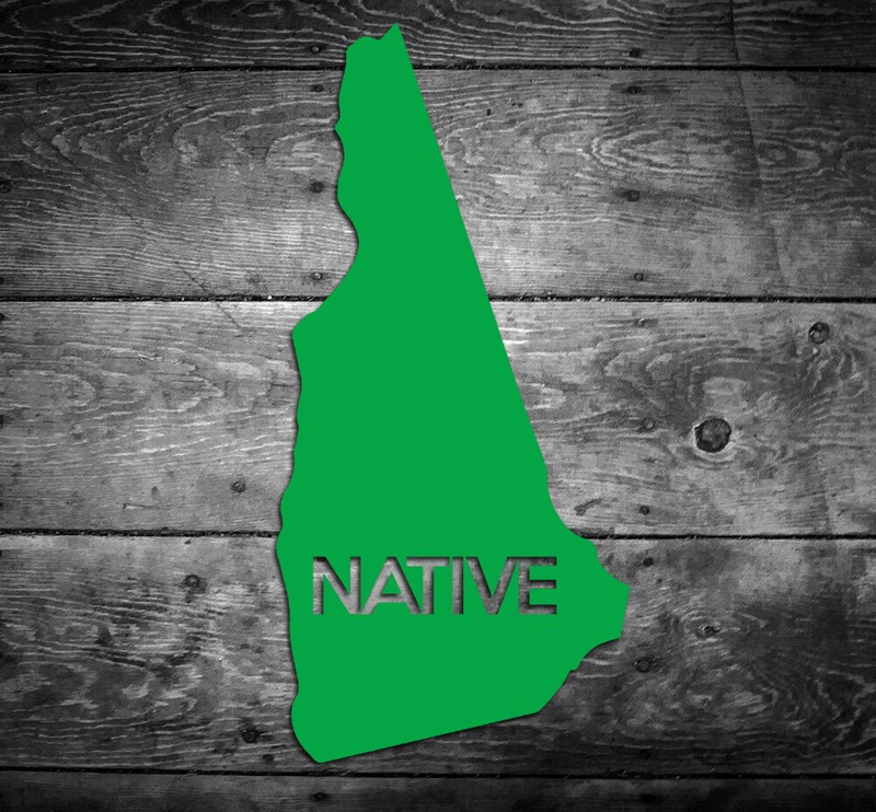 New Hampshire Native Vinyl Sticker Car Window Door Bumper Decal Pride Home NH