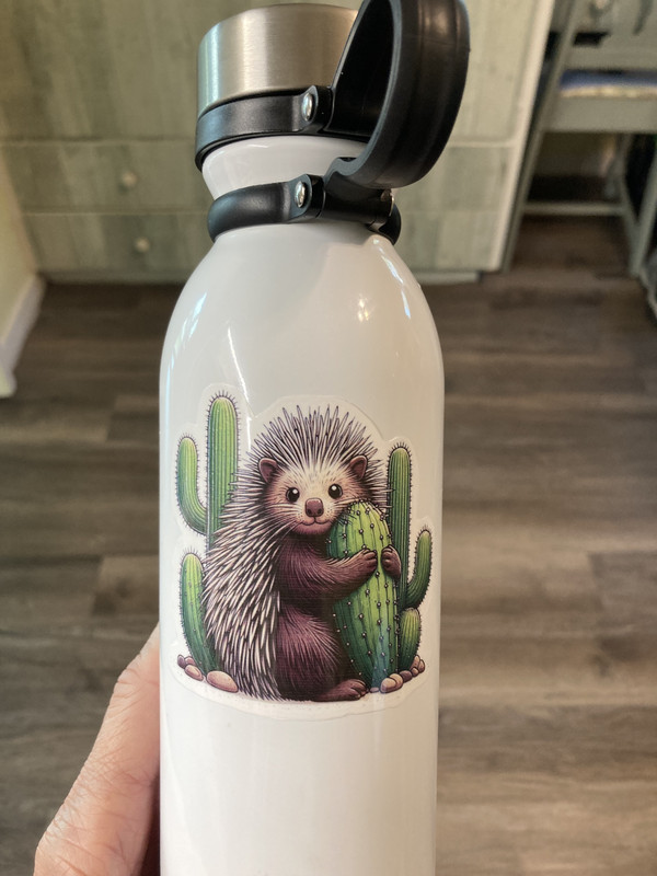 Porcupine Hugging Cactus Sticker Decal Large 3 inch Sticker Laminated Waterproof gallery