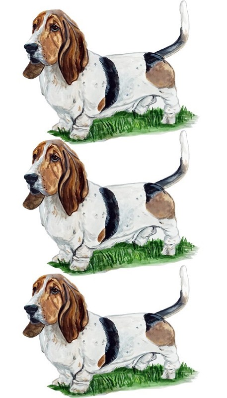 Decal Vinyl Sticker Basset Hound - Minis Set of 3 Vinyl Printed Decals Made i...