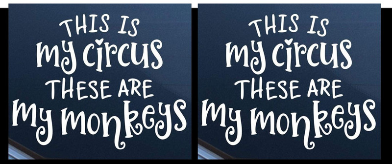 This is My Circus These Are My Monkeys Two 5″ Vinyl Decals Car Truck Window
