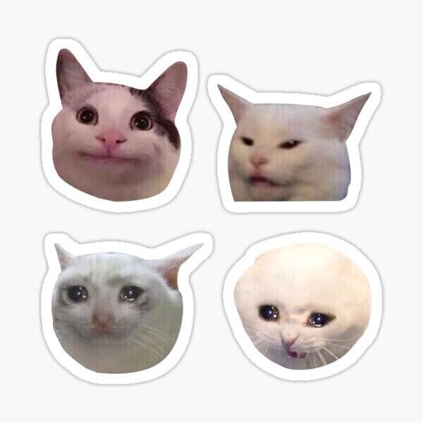 Cat Meme Stickers cute