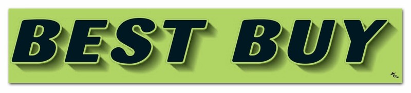 Vinyl Windshield Slogans Stickers – Fluorescent Green, 12 Pack, 14.5″x2.75″