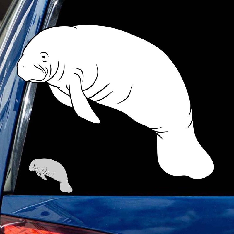 Manatee decal vinyl sticker wall windows car bumper sticker Florida Sea Cow