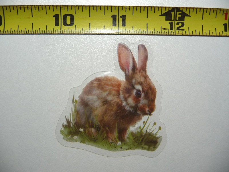 BUNNY RABBIT PET SMALL STICKER DECAL WILDLIFE COLORFUL ZOO FUNNY
