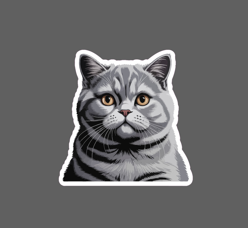 British Short Hair Sticker Waterproof Decal Cat Feline Friend Family Gift NEW
