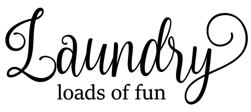 Laundry Loads of Fun Vinyl Sticker | Room Sign Soap | Die Cut Wall Decal