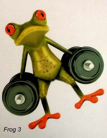 LARGE-SIZED CAR DECALS - FROG - 9 CHOICES gallery
