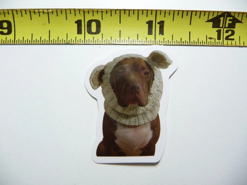 FUNNY DOG SMALL STICKER DECAL AX156 COLD WEATHER SIZE FUN HI PET FUNNY