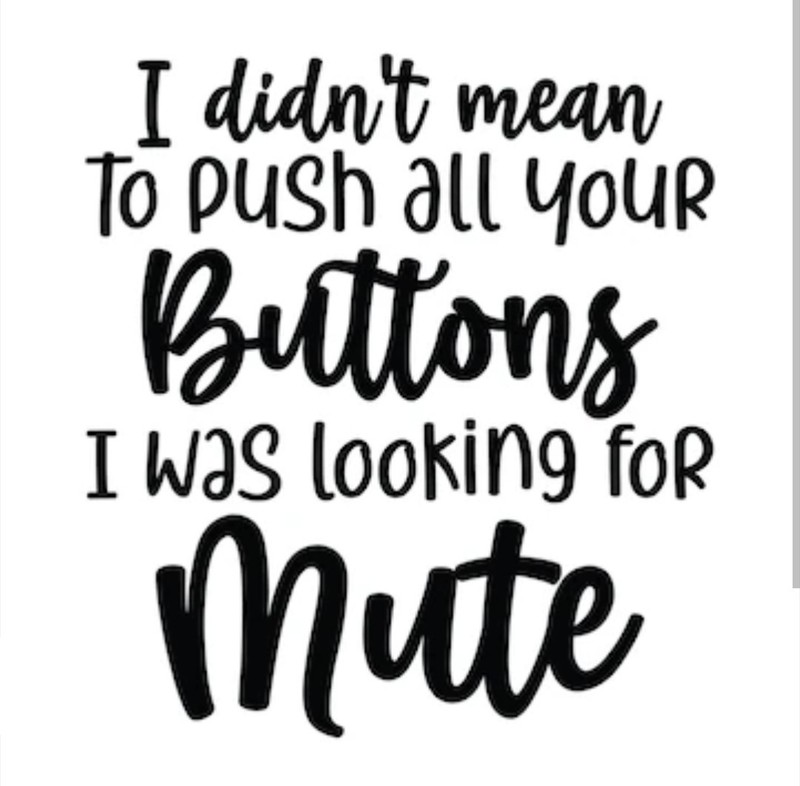 I Didn’t Mean To Push All Your Buttons HTV Iron On Image DIY Shirt Fabric