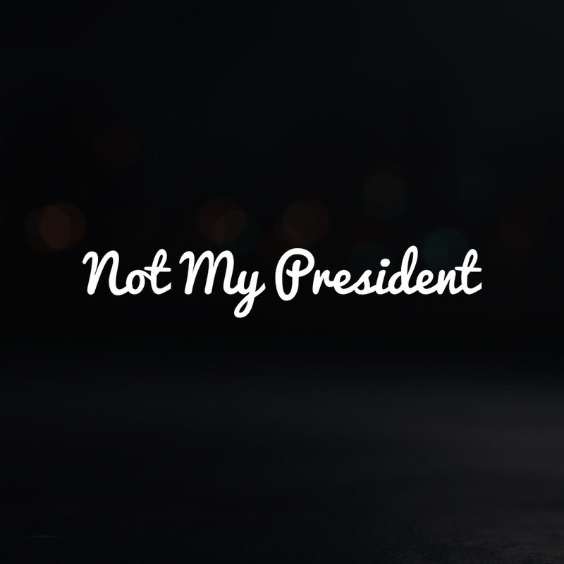 8in Vinyl Decal Sticker – “Not My President”
