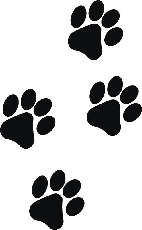 Eight Paw Prints Pet Cat Dog Kitten Puppy Vinyl Decal Car Window Bumper Sticker