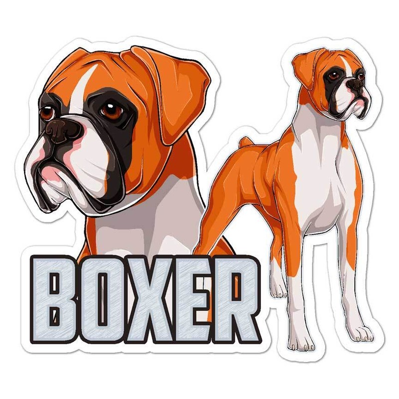 Boxer Dog Puppy, Vinyl Decal Sticker, Indoor Outdoor, 3 Sizes, #8110