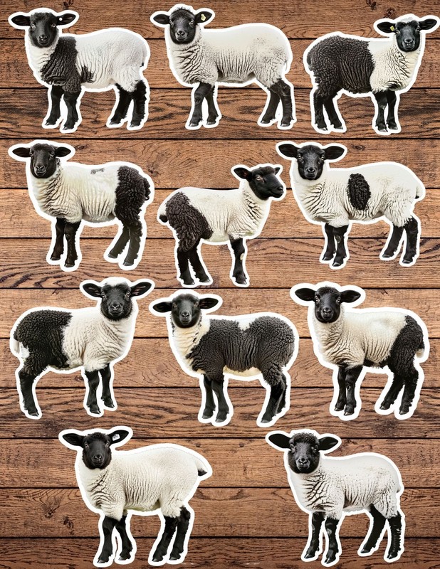 Black and White Sheep Die Cut Stickers Set Laptop Sticker Waterbottle Sticker
