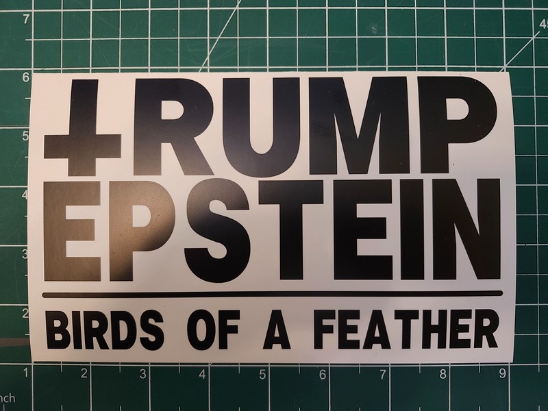 Anti-Trump Epstein EGGSHELL Sticker “Birds of a feather” 8″ Vinyl Decal