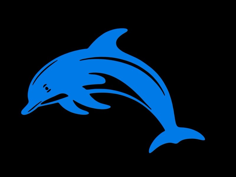 Dolphin design #2 Decal for car Windows Laptops most Smooth Surfaces gallery