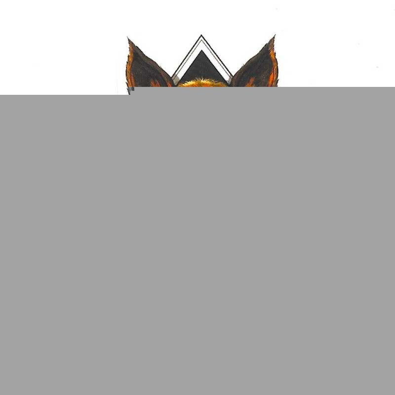 Cool Fox Smoking Weed Vinyl Sticker Stoner Animal Decal 420 Art Geometric Hippie