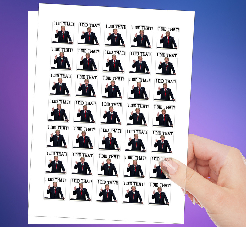 100 PCs “I did that” Trump Sticker Pack – Trump Meme – Trump Decals – 1.2 x 1.2″