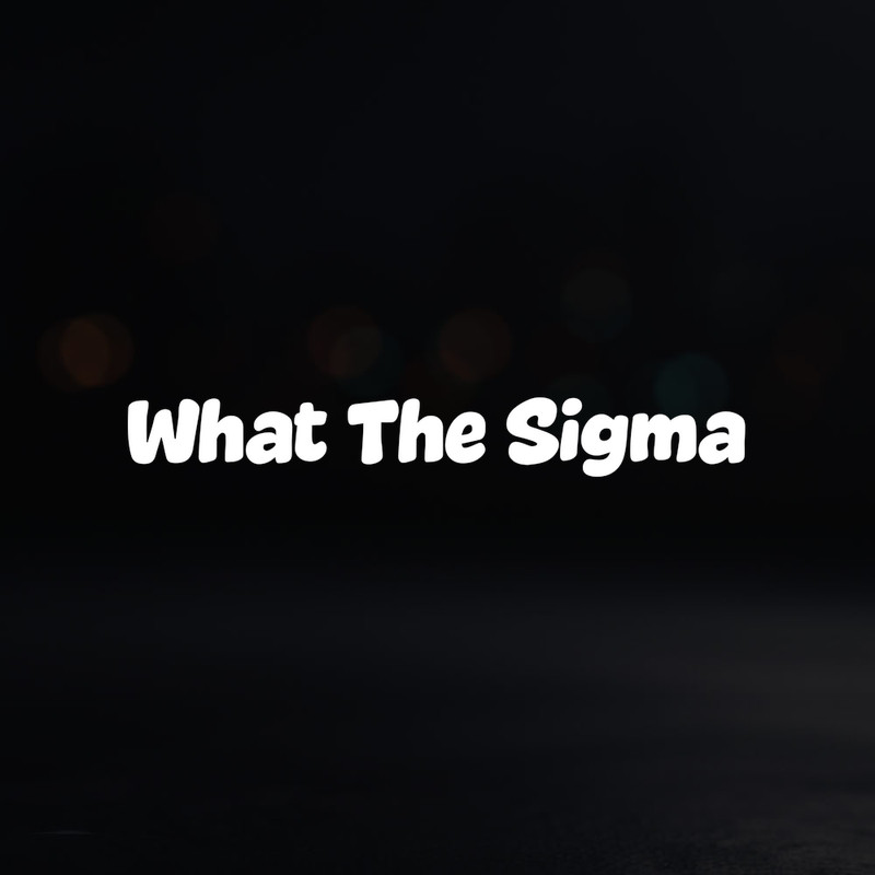 8in Vinyl Decal Sticker – “What The Sigma”