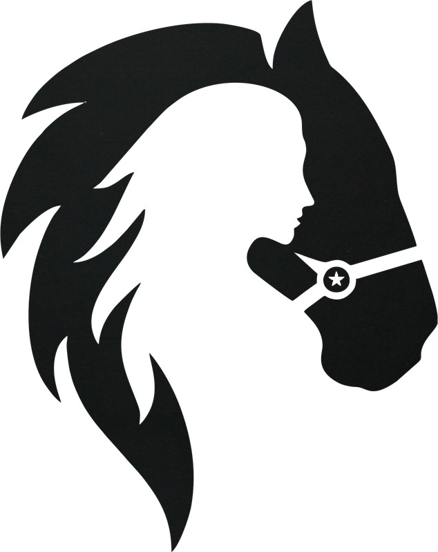 Horse Cowgirl Decal Car Truck SUV Window Bumper Wall Laptop Tablet Trailer