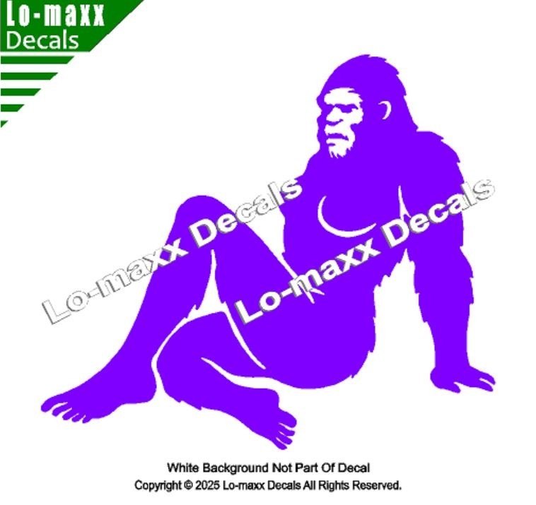 Sassy Squatch Bigfoot Vinyl Decal Funny Die Cut Sticker for Car Laptop Toolbox gallery