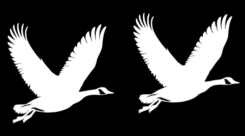 Canada Geese 2 PK 5″ White Vinyl Decal Car Truck Laptop Tablet Mailbox