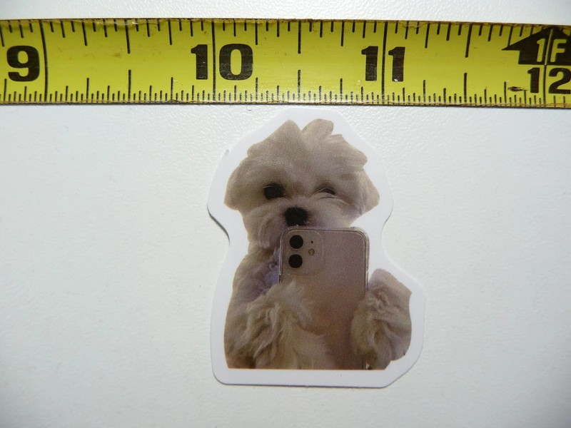 FUNNY DOG SMALL STICKER DECAL AX151 WESTIE SELFIE SIZE FUN HI PET