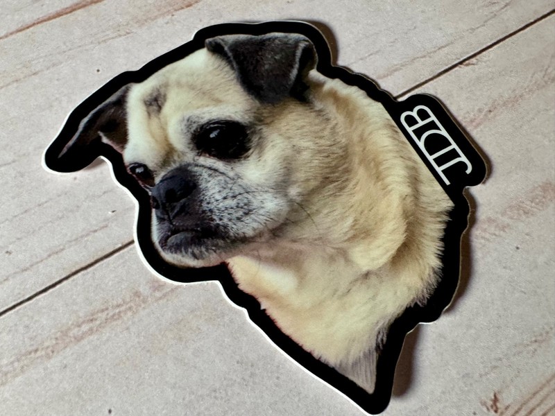 Chug 3” Vinyl Photo Sticker Artist JDB NO AI Pugs Chihuahua Dogs Cute Puppy Cats gallery