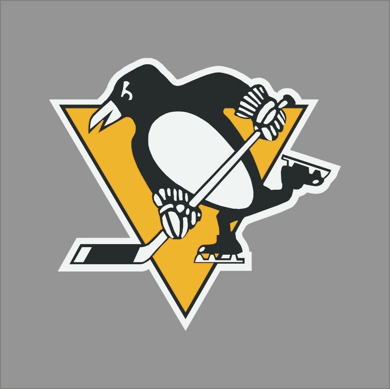 Pittsburgh Penguins #3 NHL Team Pro Sports Vinyl Sticker Decal Car Window Wall