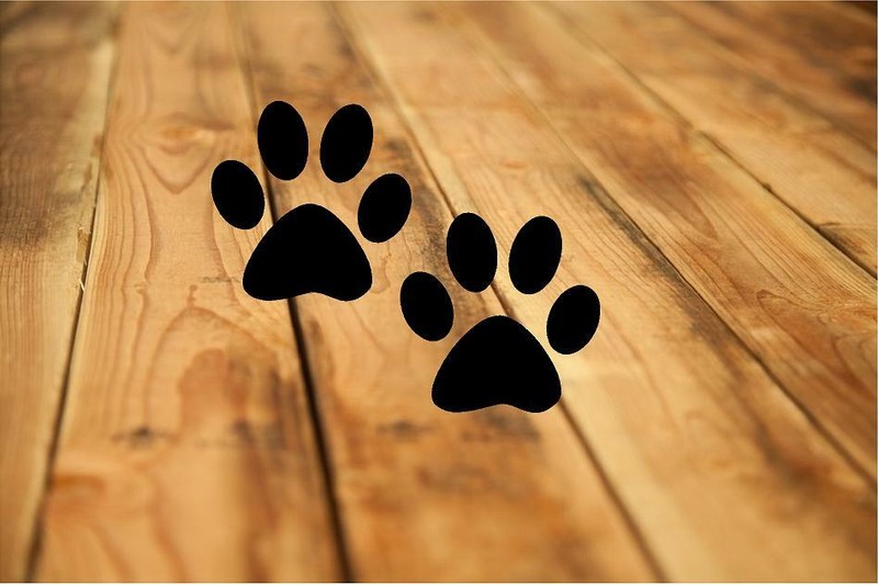 3″ CAT/DOG PAW PRINTS – 40 PAWS IN SET – VINYL DECALS HOME DECOR