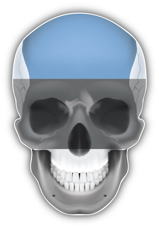 Estonia Flag Human Skull Car Bumper Sticker Decal – ”SIZES”