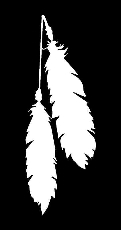 FEATHERS Vinyl Decal 3″ x 8″ (11 Colors)
