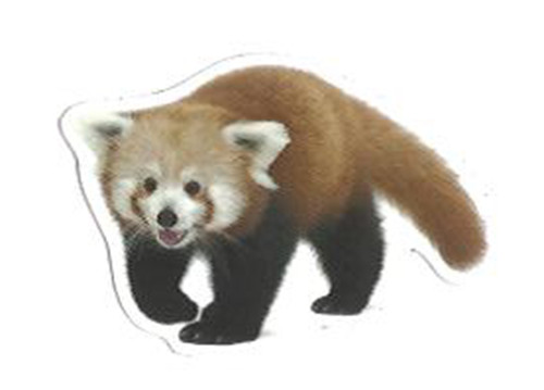 Red Panda Vinyl Sticker – 1.75″ x 2.5″