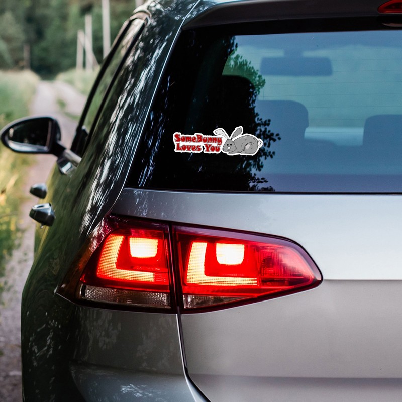 Some Bunny Loves You - Vinyl Decal Sticker - Car Window Laptop - ebn8231 gallery