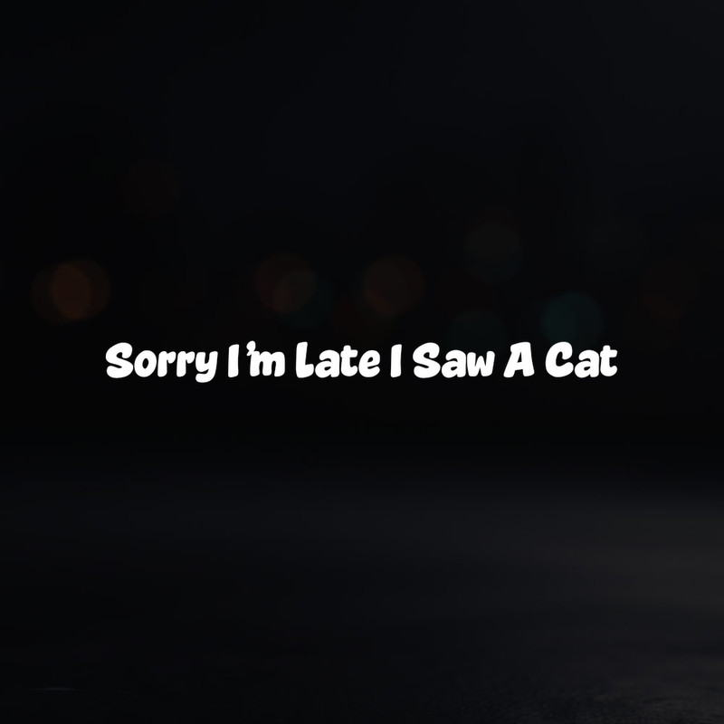 8in Vinyl Decal Sticker – “Sorry I’m Late I Saw A Cat”