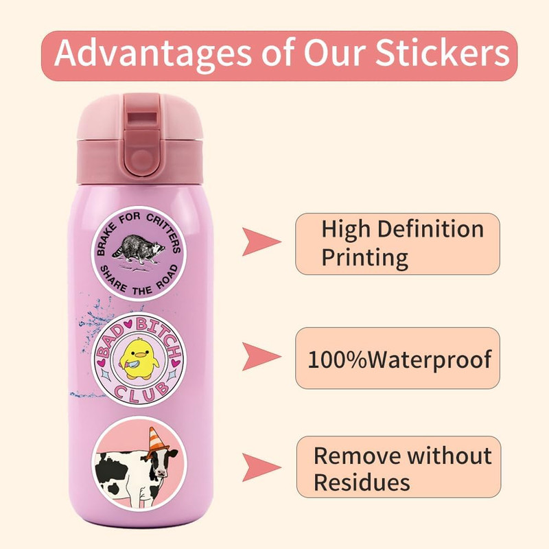 110 PCS Waterproof Pink Meme Stickers for Adults and Teens gallery