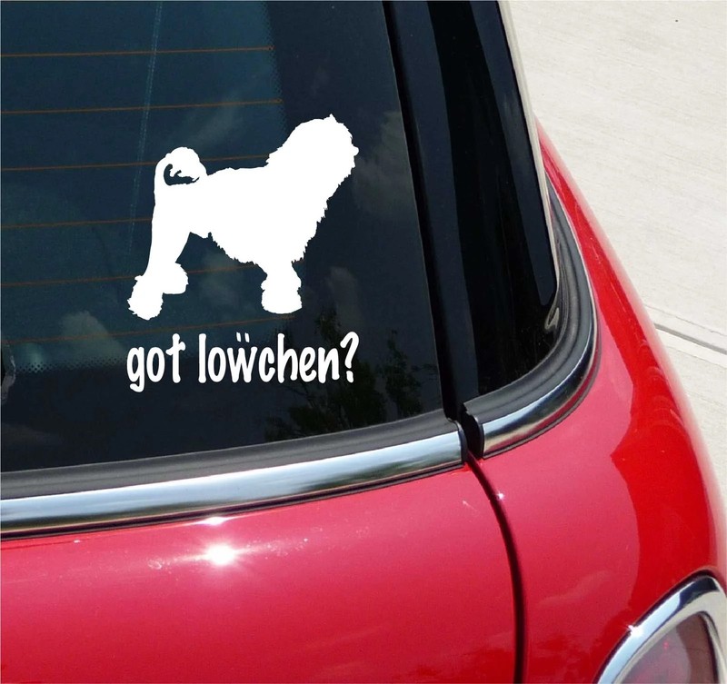 GOT LOWCHEN? LOWCHENS LOW CHEN GRAPHIC DECAL STICKER ART CAR WALL