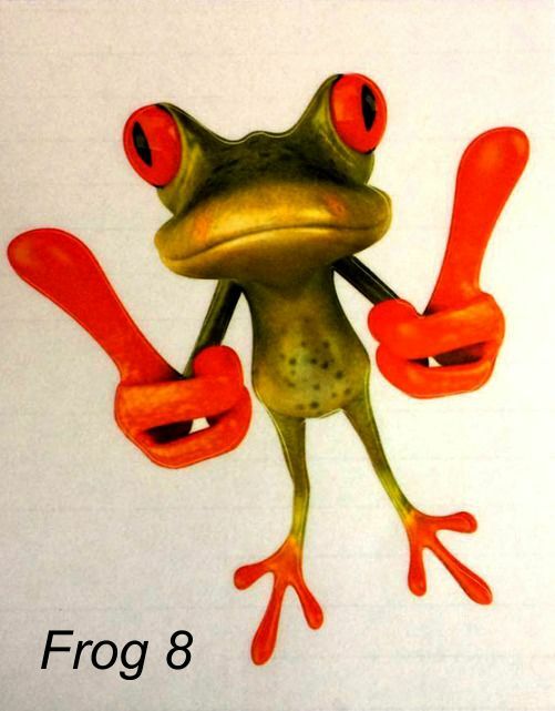 LARGE-SIZED CAR DECALS - FROG - 9 CHOICES gallery