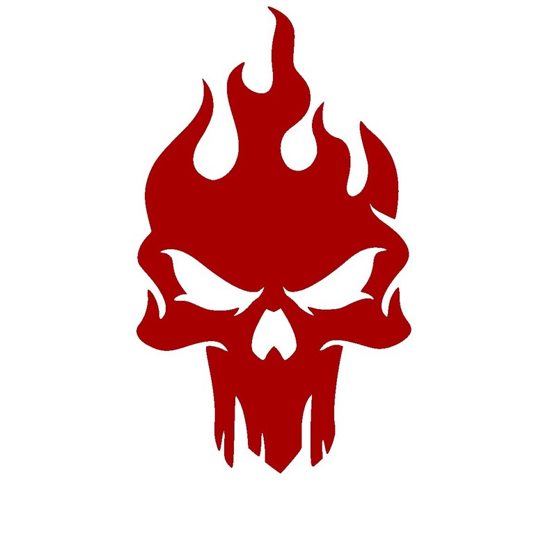 Flaming Skull Car/ Wall Decal- large size gallery