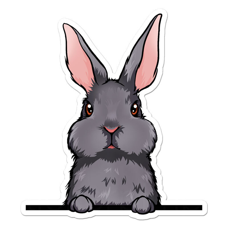 Peeking Mini Rex Rabbit, Vinyl Decal Sticker, Indoor Outdoor, 3 Sizes, #11636