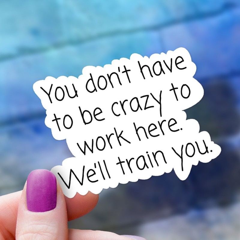 Funny Vinyl HR Sticker: You Don’t Have to Be Crazy to Work Here, We’ll Train You