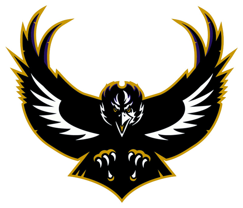 Baltimore Purple Black Football Weather Resistant Vinyl Sticker/Decal 12