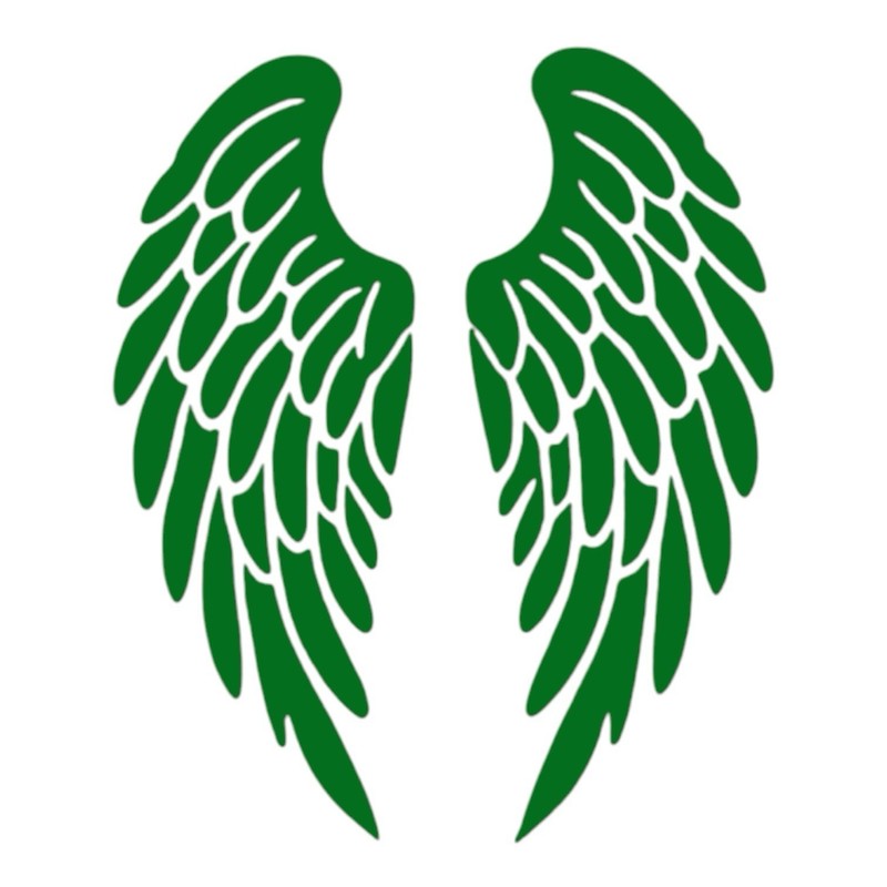 Angel Wings Decal for car Windows Laptops most Smooth Surfaces gallery
