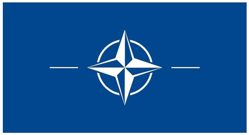Nato International Flag Sticker Decal F331