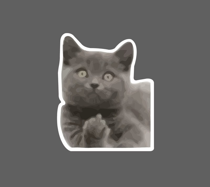 Cat Middle Finger Sticker Waterproof NEW – Buy Any 4 For $1.75 EACH Storewide!