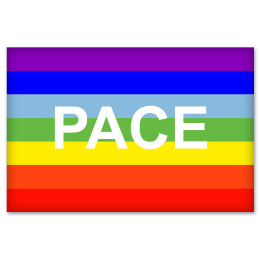 Rainbow Peace PACE Flag sign symbol car sticker 5″ x 4″